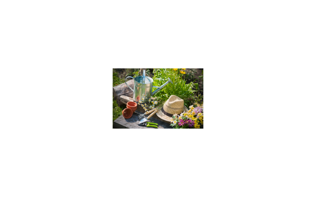 Vortag „Klimafitte Gartengestaltung“